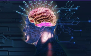 The Science of Addiction: Holistic Approaches to Rewire the Brain for Recovery