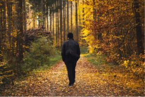 start addiction recovery in fall