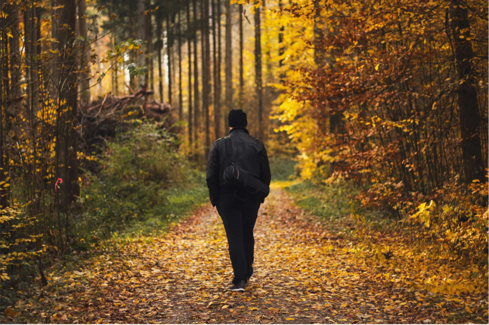 start addiction recovery in fall